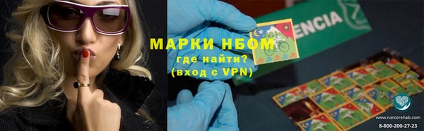 PSILOCYBIN Покров