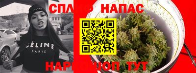 PSILOCYBIN Донской