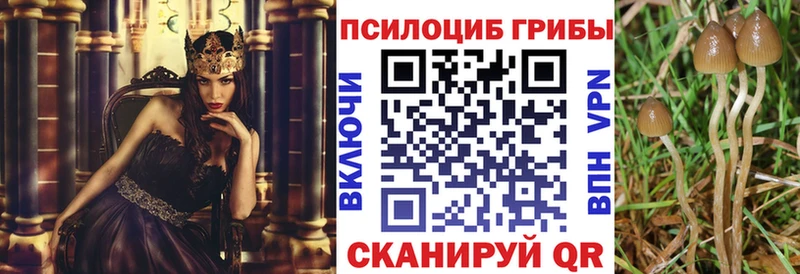 Псилоцибиновые грибы Magic Shrooms  Первоуральск 