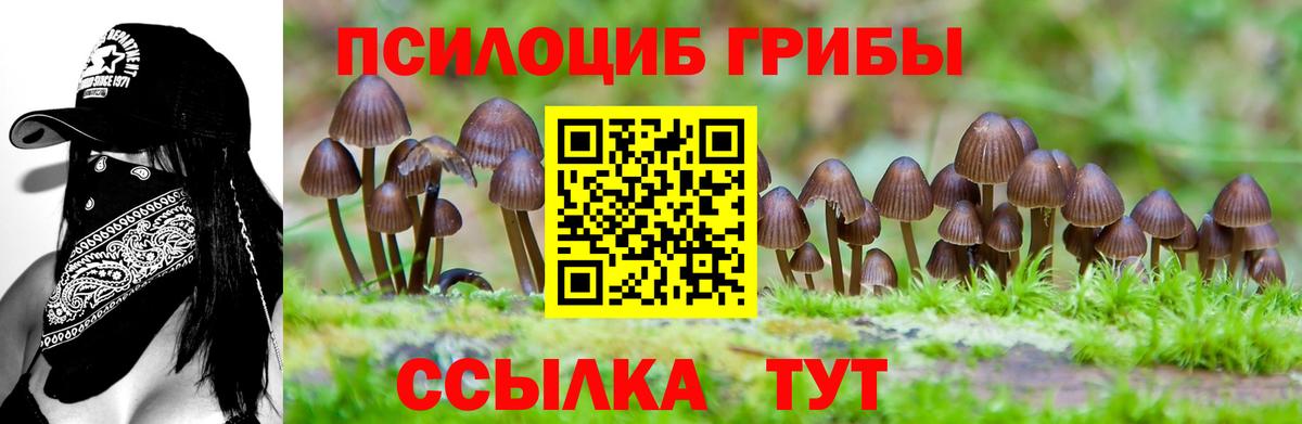 Псилоцибиновые грибы мухоморы Первоуральск